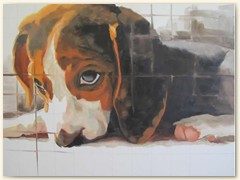 Shy Beagle - 2011 - $250